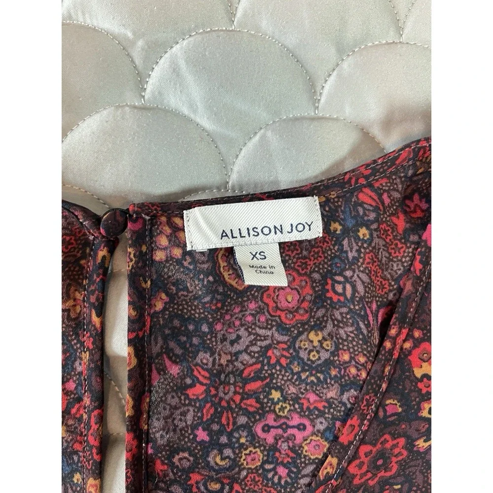 Allison Joy Evereve Tessa V Neck Puff Blouse Size XS Burgundy Autumn Moody - Picture 3 of 8